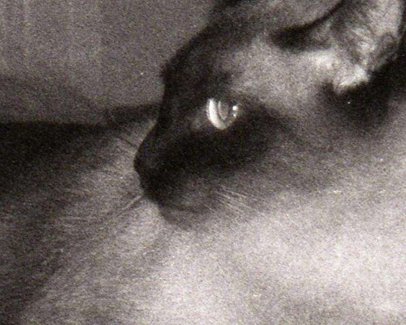 Ins上易烊千玺的粉丝数量