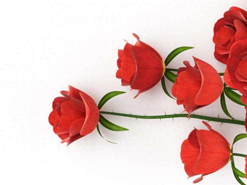 Instagram粉丝数中的“M”代表什么意思