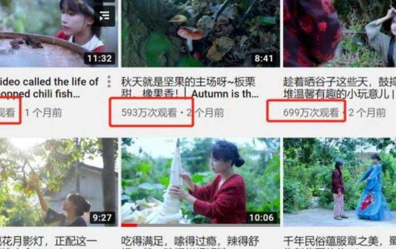 Instagram粉丝数量激增的影响和反应