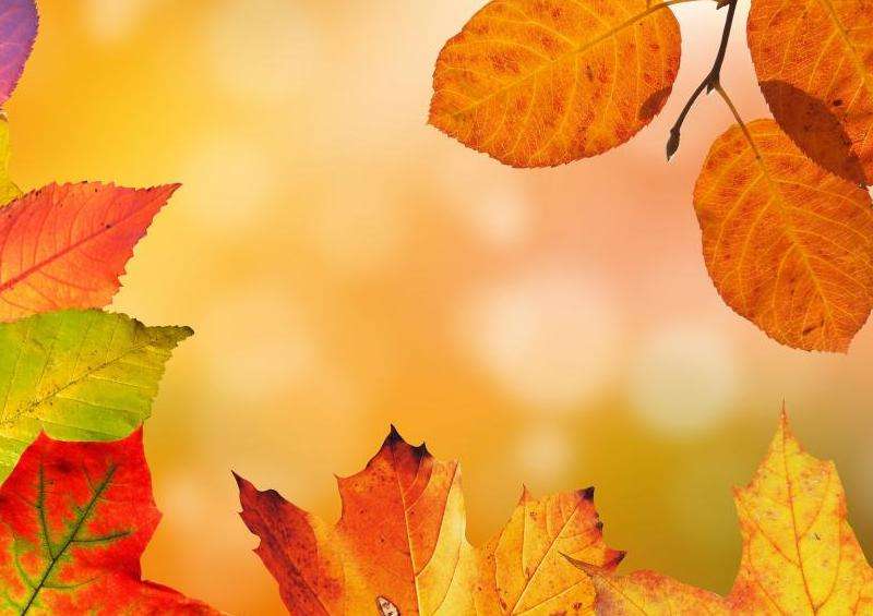 Instagram里的粉丝数量显示“M”是什么意思？