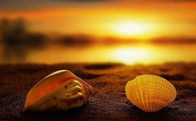 Instagram风景照片的点赞话题分析