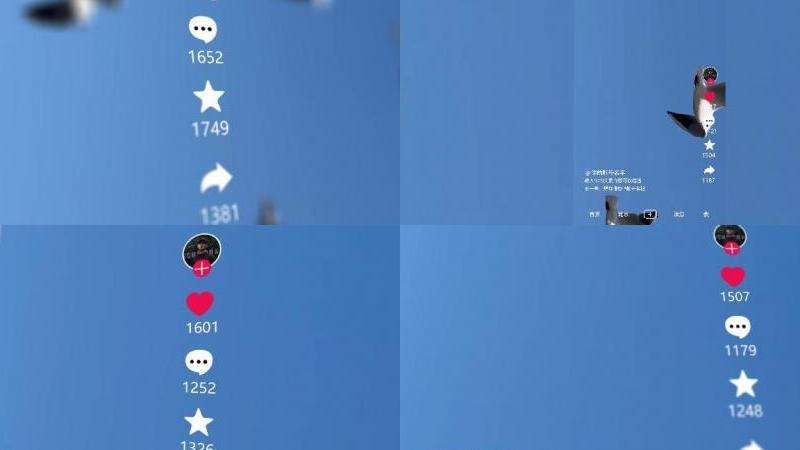 Ins一天内点赞数据汇总