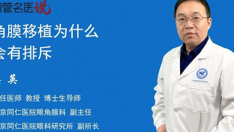 Ins上为什么会有人点赞的原因