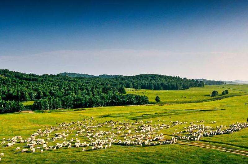 Ins上南韩女爱豆的粉丝数量