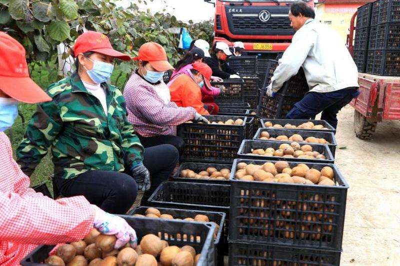 Ins上吸引点赞的有效方法