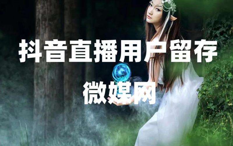 Ins上如何快速增加粉丝？