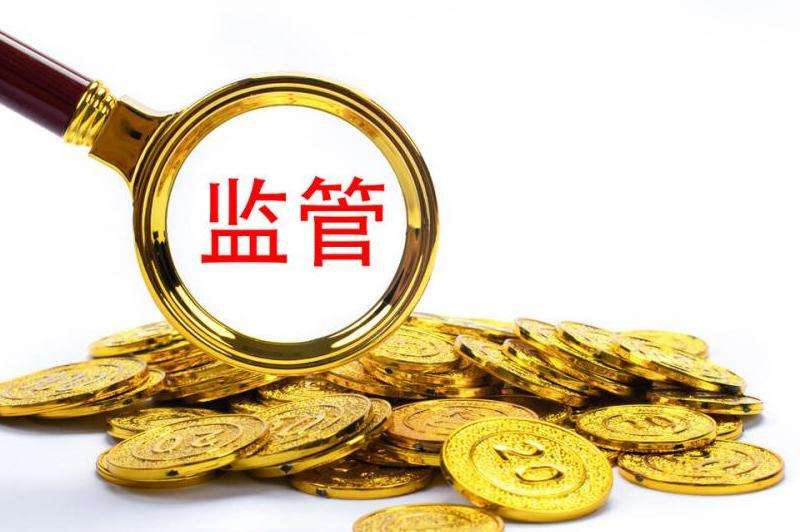 Ins上有大量粉丝的账户如何申请追踪