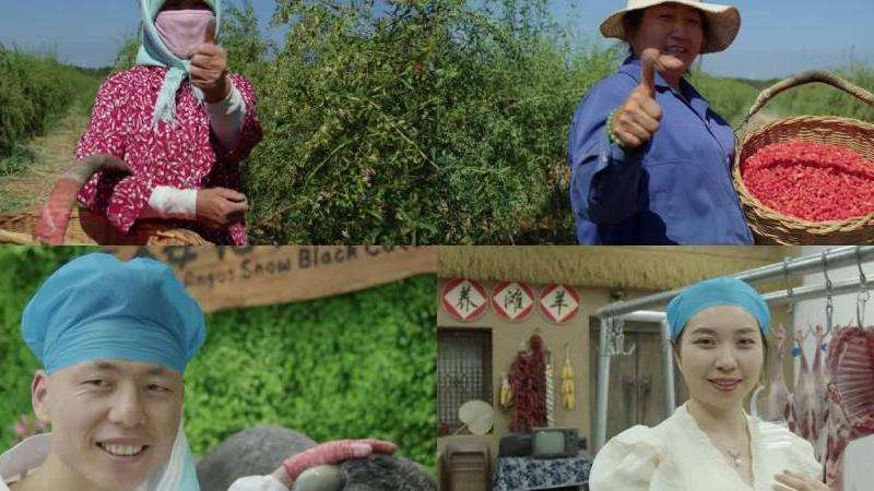 Ins上点赞的合集怎么查看？