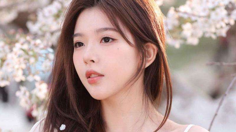 Ins全球的粉丝排名概览